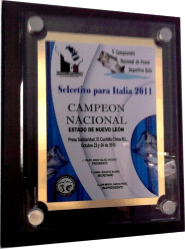 MADERA CON VIDRIO Y PLACA IMPRESA